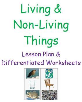 Living and Nonliving Things, Kindergarten Lesson Plan: Draw About It.